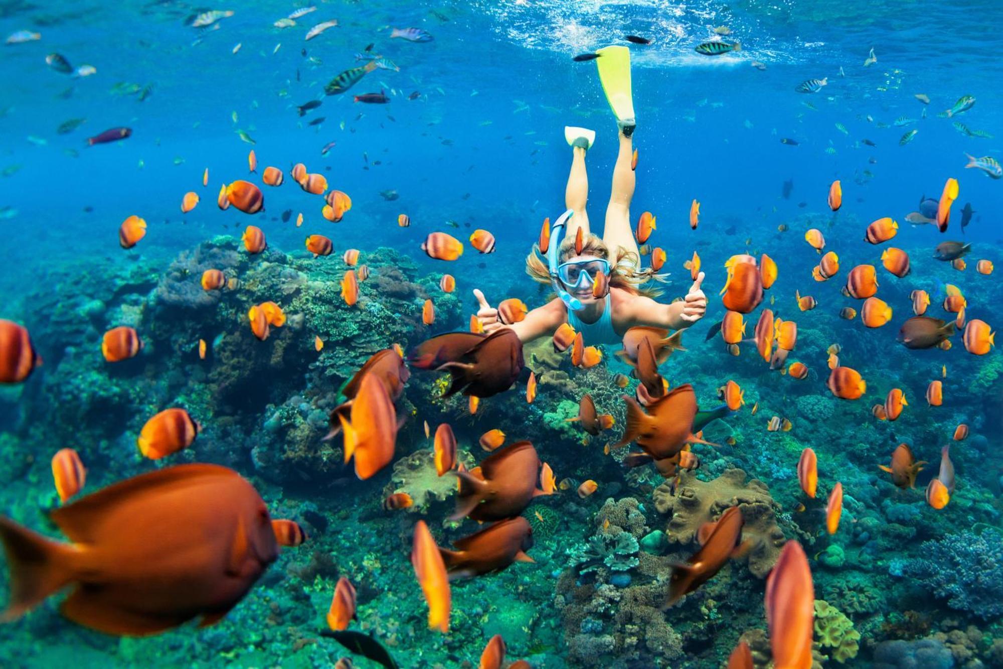 オルマティ ビュー イン Ukulhas エクステリア 写真
