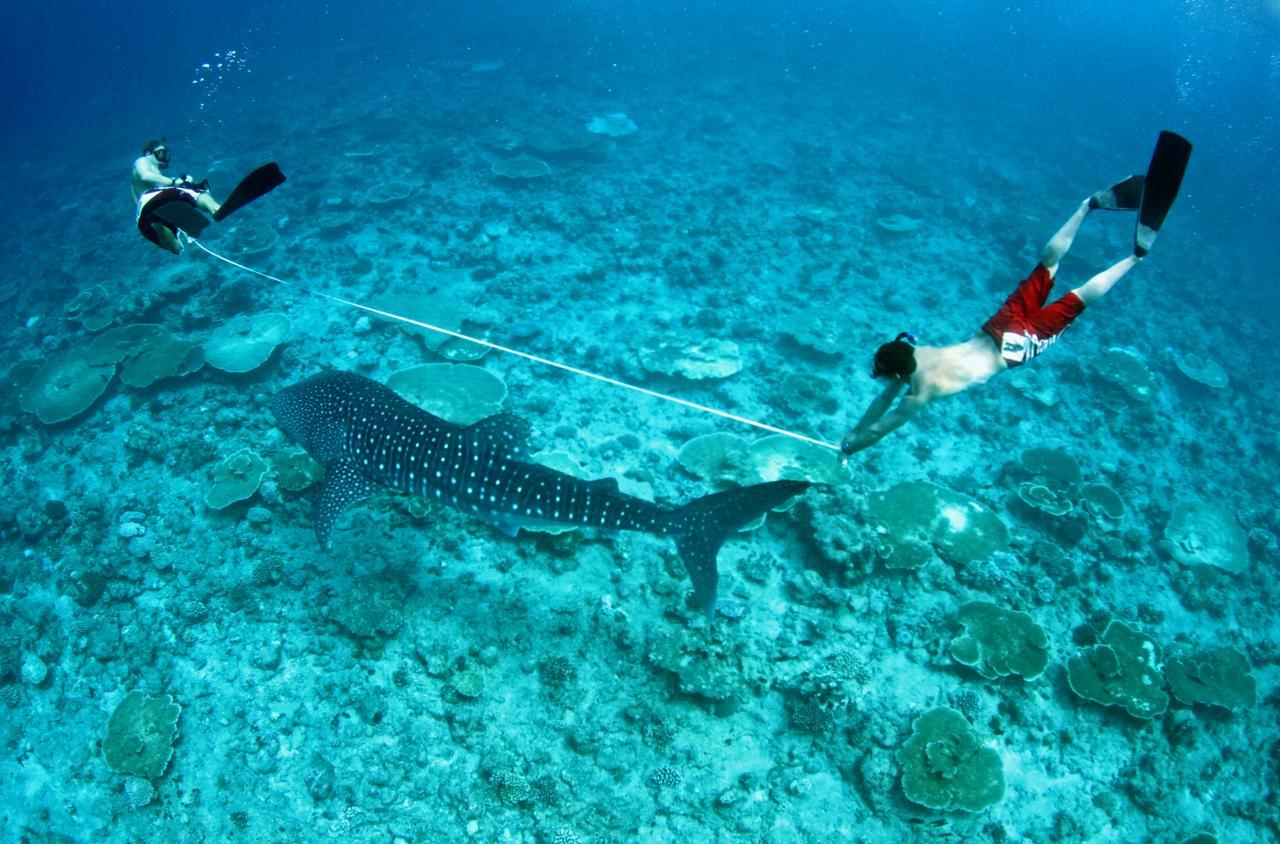オルマティ ビュー イン Ukulhas エクステリア 写真