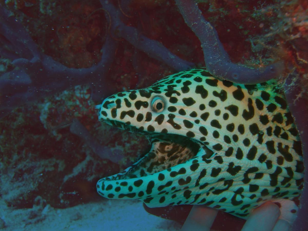 オルマティ ビュー イン Ukulhas エクステリア 写真